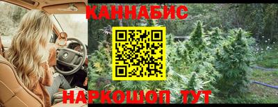 МДПВ Дубна