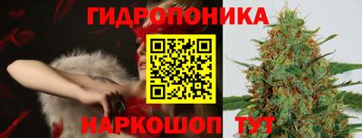 МДПВ Дубна